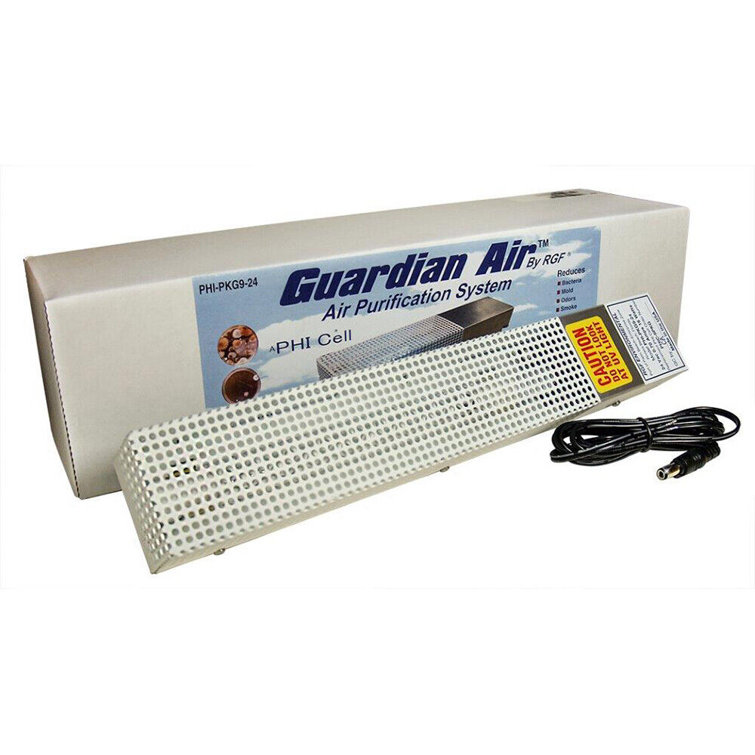 Rgf environmental group online air purifier
